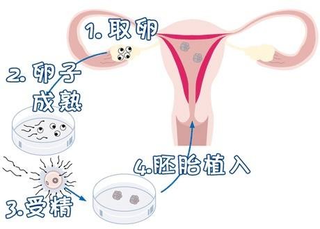王景华院长